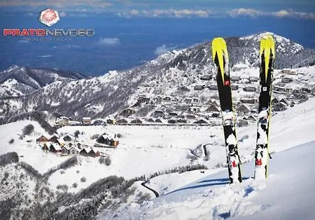 Гостевой дом La Lea